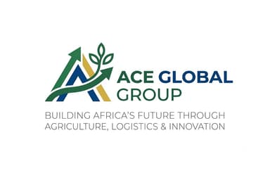 ACE Global Group